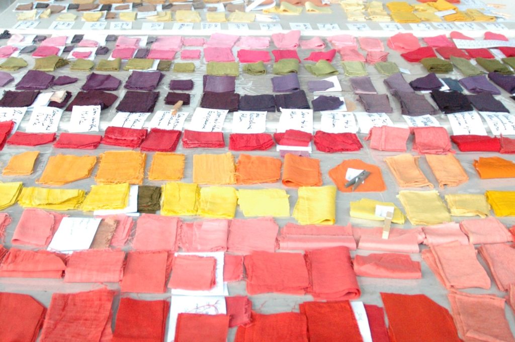 Formation de perfectionnement à la teinture naturelle pour le développement d'une collection