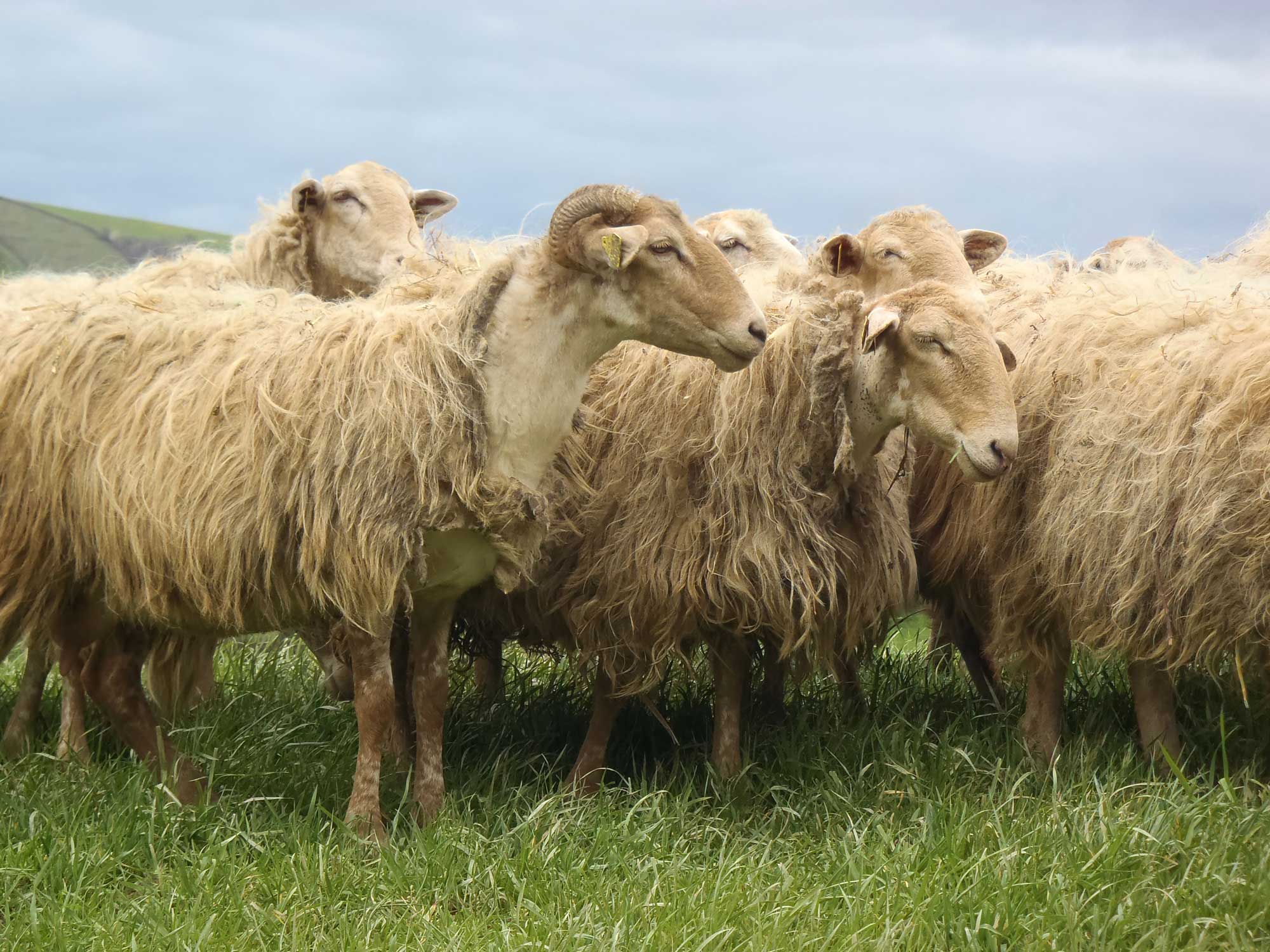 Résolaine Séminaire